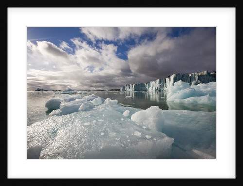 Icebergs Near Sveabreen Glacier in Nordfjorden by Anonymous