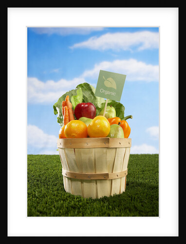 Bushel Full of Organic Fruits and Vegetables by Anonymous