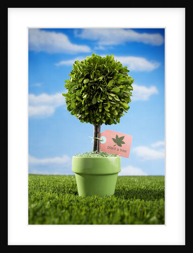 Miniature Tree in Pot by Anonymous