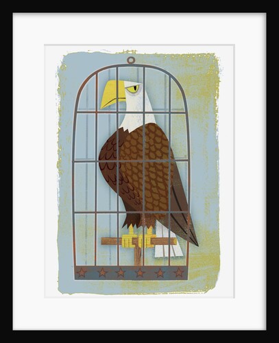 Bald Eagle Confined in Small Cage by Anonymous