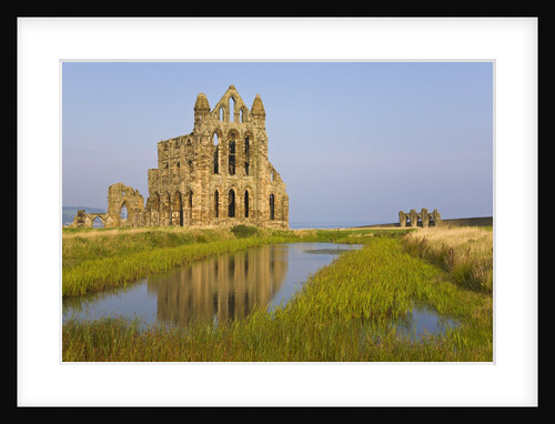 Ruins of Whitby Abbey in North Yorkshire by Anonymous