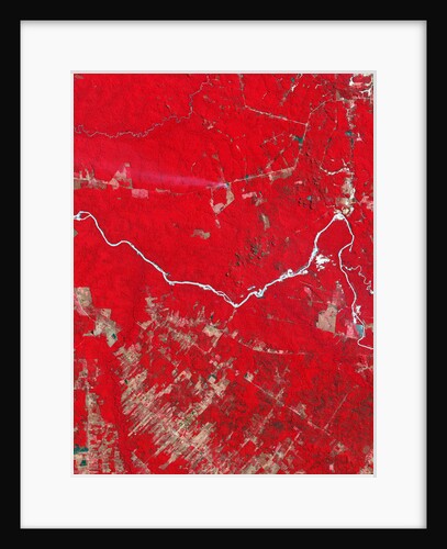 Deforestation in the Amazon Basin in Brazil by Anonymous