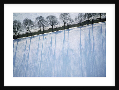 Park Covered in Snow by Anonymous