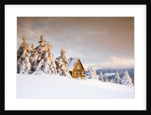 Cabin on Mount Fichtelberg by Anonymous