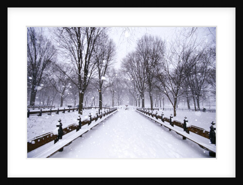 Central Park in winter by Anonymous