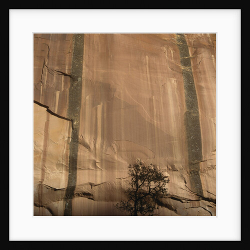 Lone Tree Beneath a Sheer Cliff Face by Anonymous