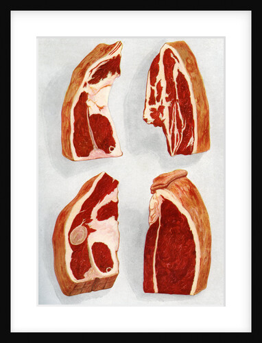Illustration of four types of beef steaks by Anonymous
