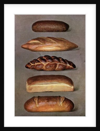 Illustration of five types of bread loaves by Anonymous