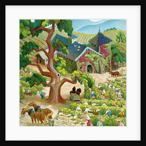 Illustration of Laborers Harvesting Grapes in Napa Valley by C.H. DeWitt