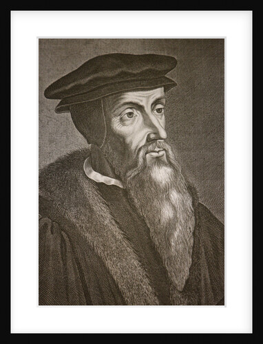 Engraved portrait of John Calvin by Anonymous