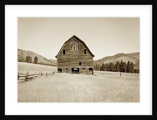 Barn in a Golden Field by Tom Marks