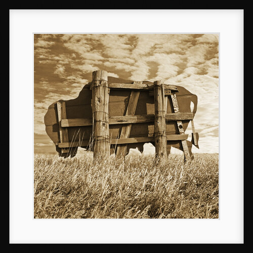 Abandoned Buffalo Sign by Tom Marks