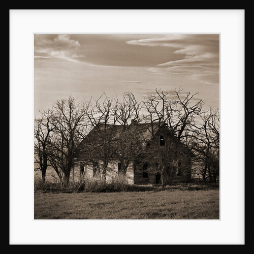 Abandoned House Surrounded by Trees by Tom Marks