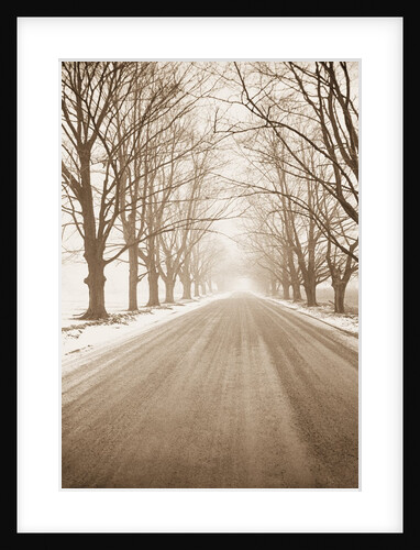 Peaceful Country Road in Rural Michigan by Tom Marks