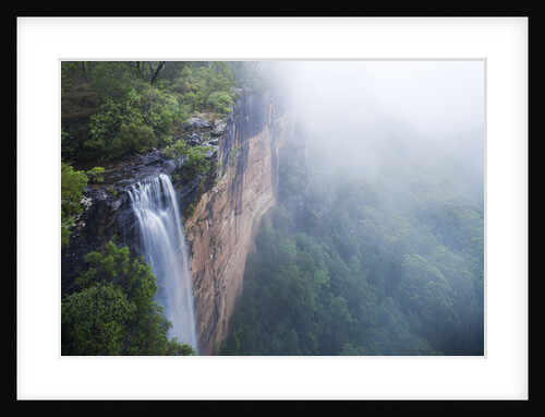 Fog over Fitzroy Falls in Morton National Park by Anonymous