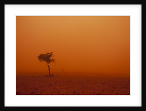 Dust storm in the Australian Outback by Anonymous