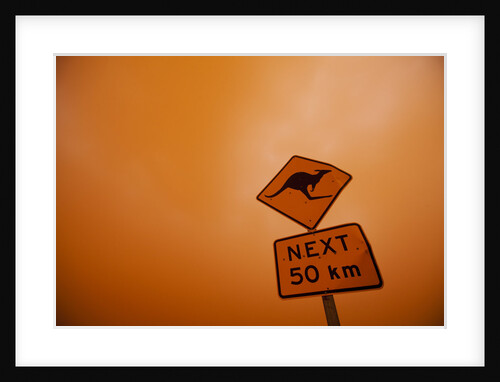 Kangaroo Crossing Sign in Dust Storm by Anonymous