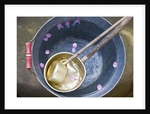 Ladling peach blossoms from a water pail by Anonymous