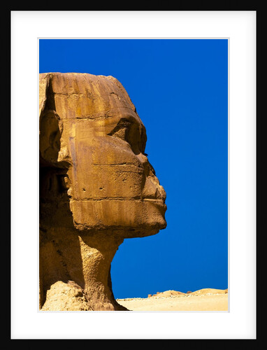 Detail of Great Sphinx at Giza by Anonymous