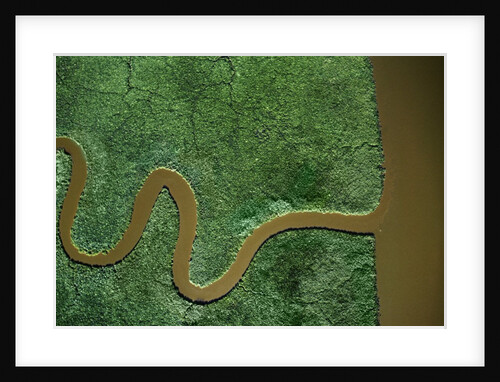 Aerial view of the Chickahominy River by Anonymous