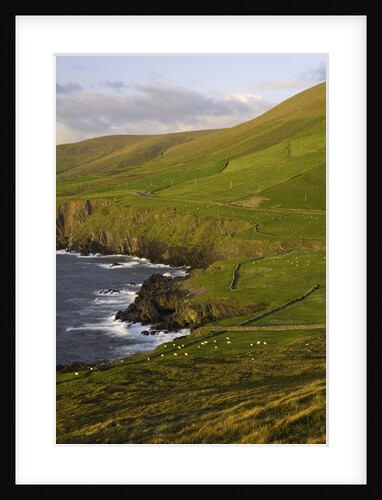 View towards Clougher Head by Anonymous
