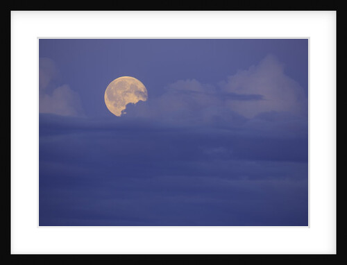Rising Full Moon in Delta Junction by Anonymous