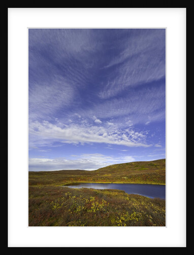 Cirrus and Cumulus Clouds Above Autumn Tundra in Denali National Park by Anonymous