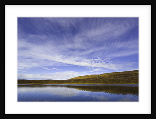 Cirrus and Cumulus Clouds Above Autumn Tundra in Denali National Park by Anonymous