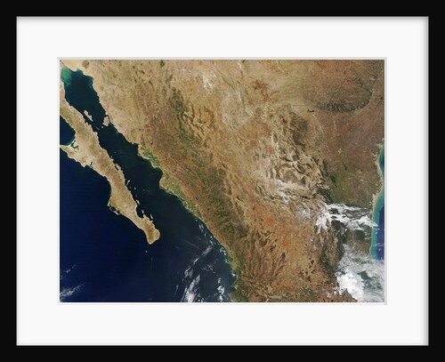 Baja State by Anonymous