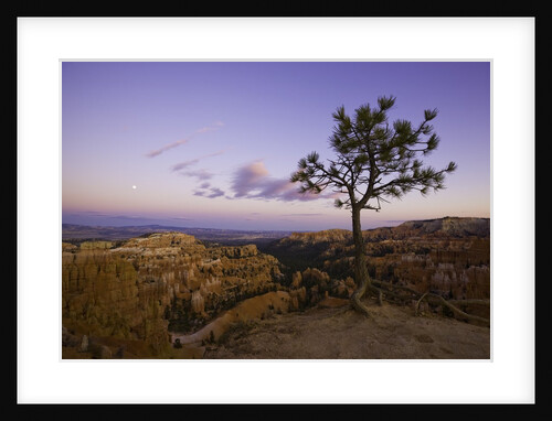 Moonrise over Bryce Canyon National Park by Anonymous