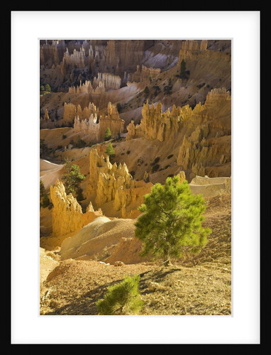 Sandstone hoodoos seen from Sunset Point in Bryce Canyon National Park by Anonymous