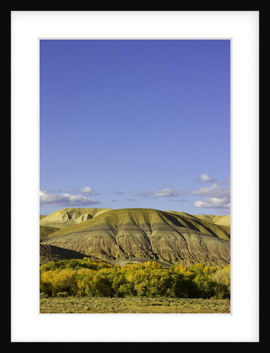 Sandstone buttes and cottonwoods in fall in Wyoming by Anonymous