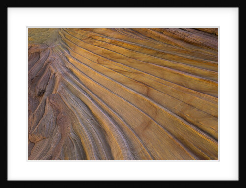 Colorful striated sandstone layers at Coyote Buttes by Anonymous
