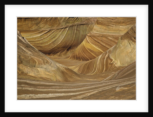 Colorful sandstone layers of The Wave at Coyote Buttes by Anonymous