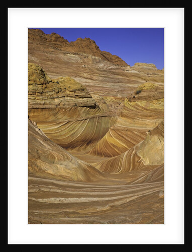 Colorful sandstone layers of The Wave at Coyote Buttes by Anonymous