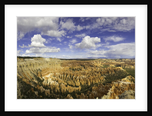 Hoodoos in Bryce Amphitheater in Bryce Canyon National Park by Anonymous