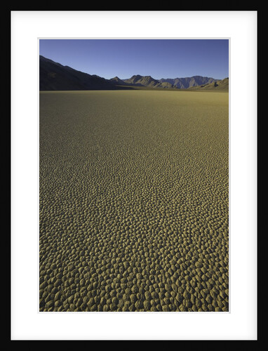 Granulated surface of sandy playa called Racetrack, Death Valley National Park, CA by Anonymous