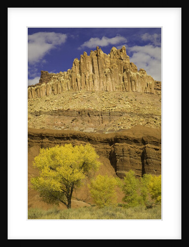 Castle and Fluted Wall Formations in Capitol Reef National Park by Anonymous