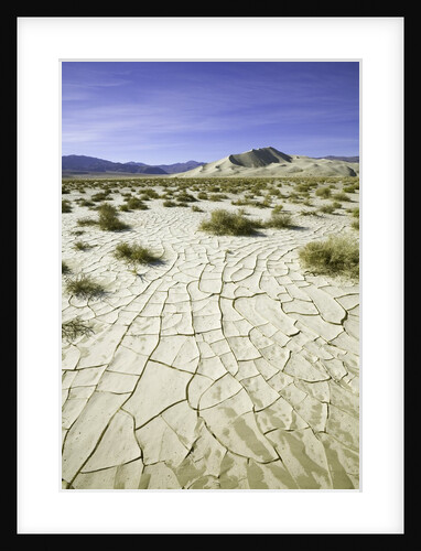 Dry and cracked mud flats in Death Valley National Park by Anonymous