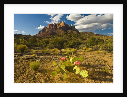Valley below Mount Kinesava by Anonymous