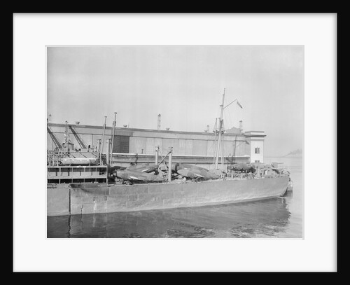 Foreign-Trade Zone on Staten Island by Anonymous