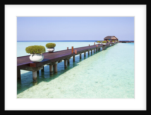 Boardwalk and bungalow by a lagoon in the Maldives by Anonymous