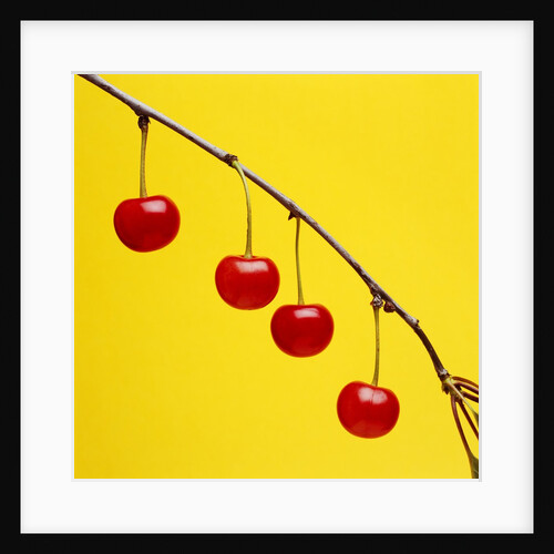 Four cherries by Tom Marks