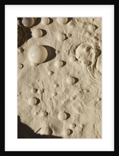 Bubbles in boiling volcanic mud pot by Anonymous