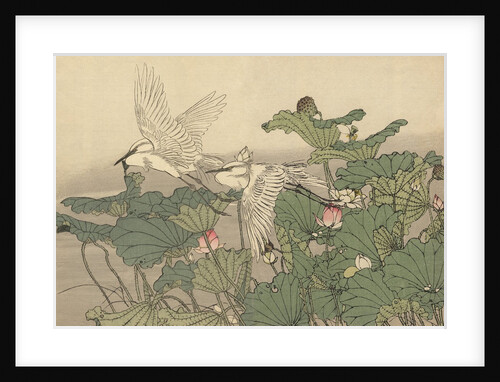 Egrets and Lotus by Imao Keinen