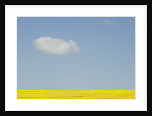 Wiltshire landscape by Anonymous