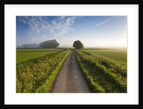 Country road between agricultural fields in England by Anonymous
