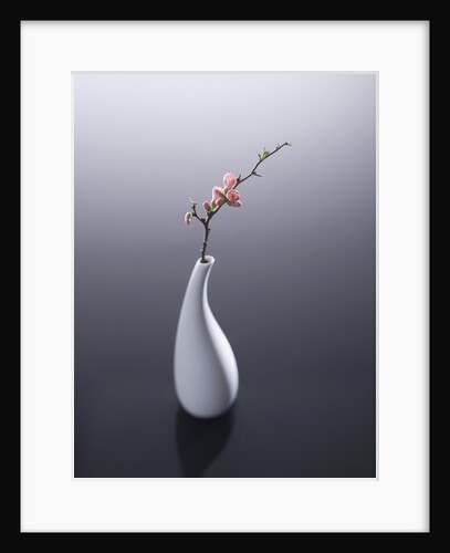 Cherry blossom in vase by Anonymous