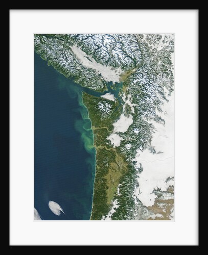 Pacific Northwest Coast of the United States in winter by Anonymous