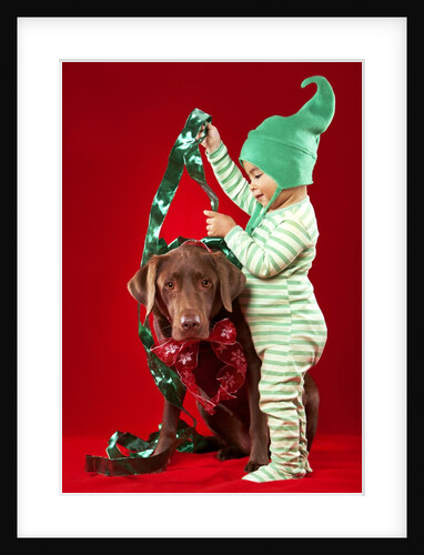 Little boy decorating a dog by Anonymous